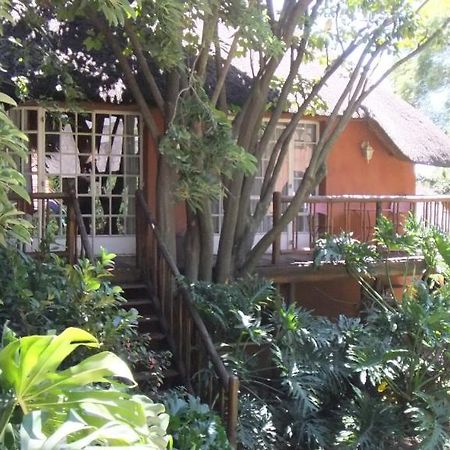 Treetops & Treats Guest House Pretoria-Noord Kültér fotó