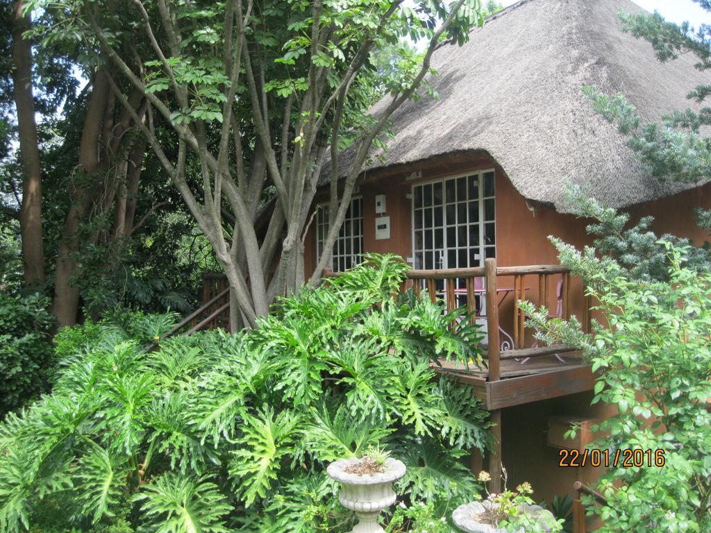 Treetops & Treats Guest House Pretoria-Noord Kültér fotó
