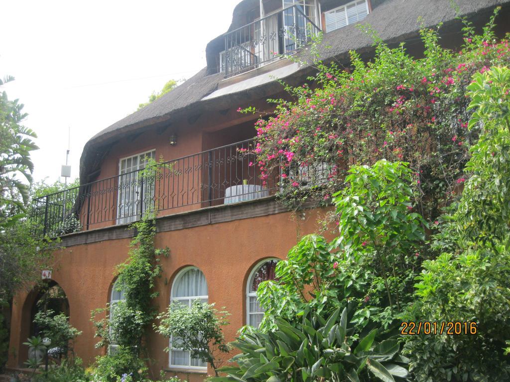 Treetops & Treats Guest House Pretoria-Noord Kültér fotó