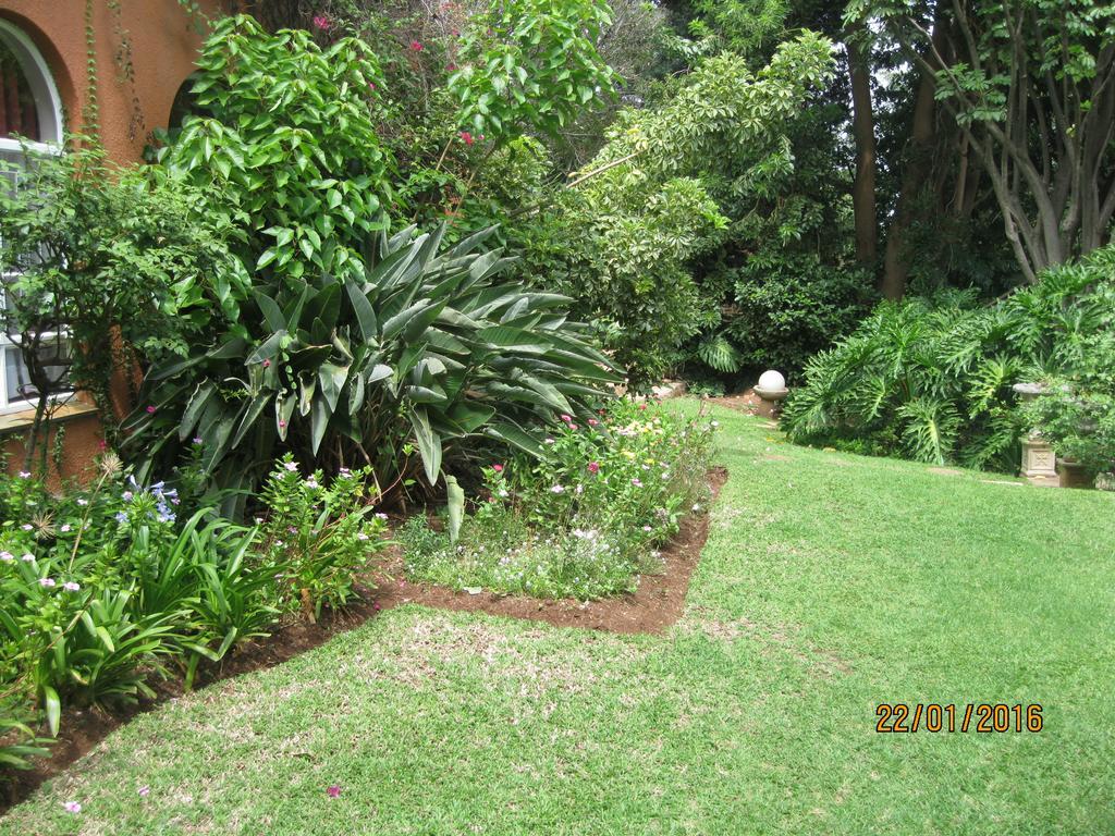 Treetops & Treats Guest House Pretoria-Noord Kültér fotó