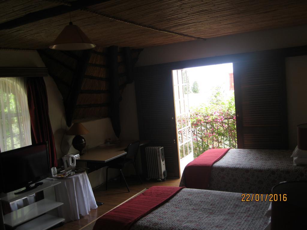 Treetops & Treats Guest House Pretoria-Noord Kültér fotó