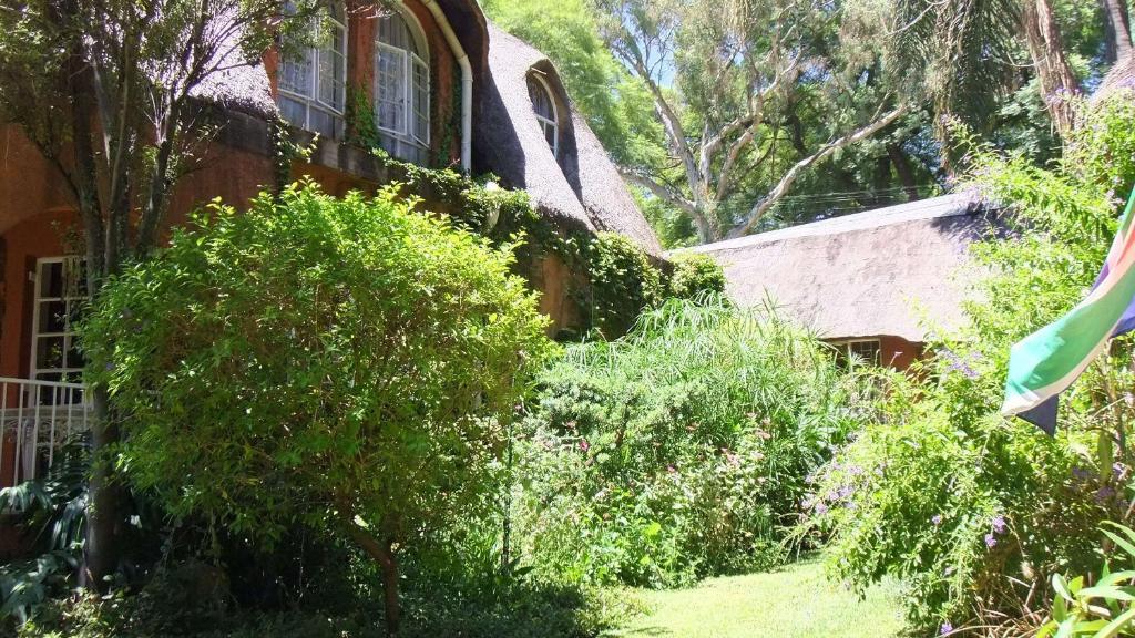 Treetops & Treats Guest House Pretoria-Noord Kültér fotó