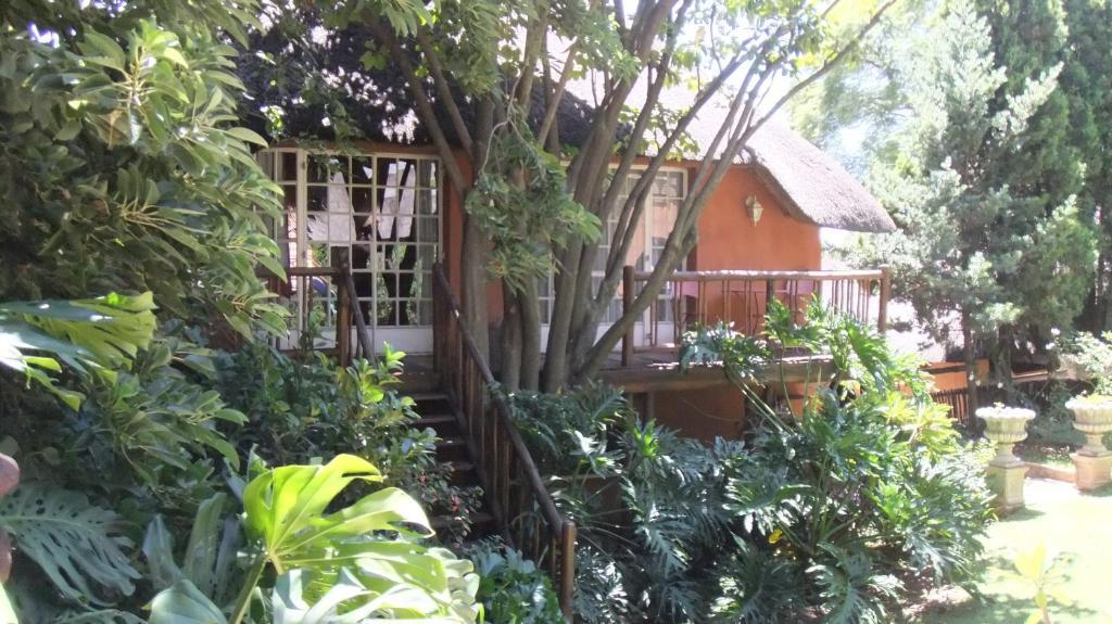 Treetops & Treats Guest House Pretoria-Noord Kültér fotó