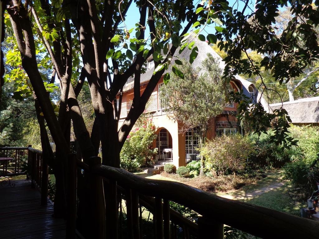 Treetops & Treats Guest House Pretoria-Noord Kültér fotó