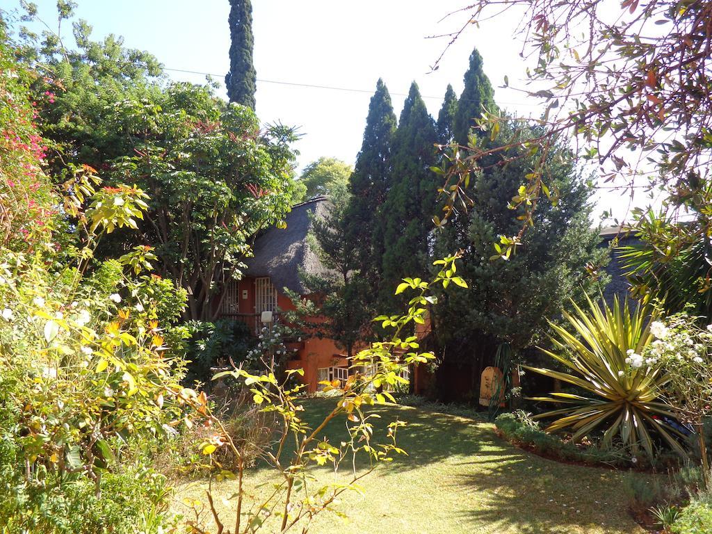 Treetops & Treats Guest House Pretoria-Noord Kültér fotó