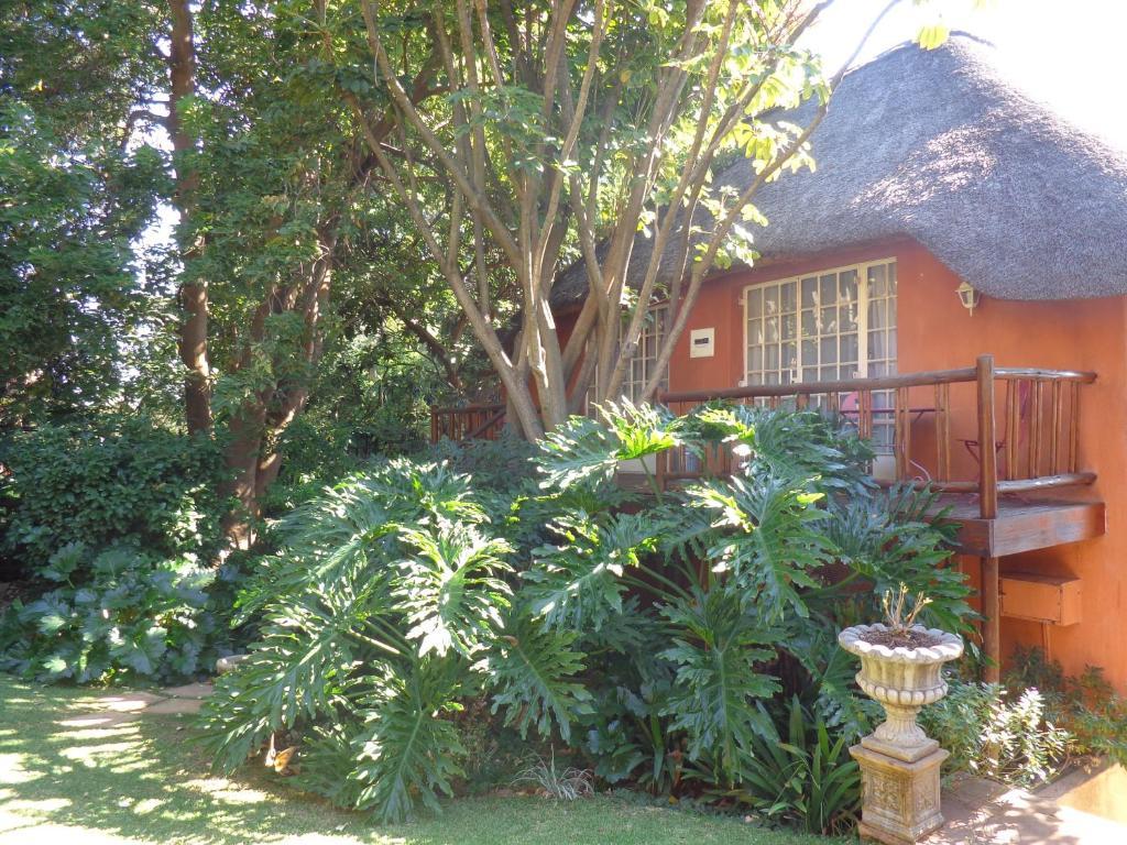 Treetops & Treats Guest House Pretoria-Noord Kültér fotó