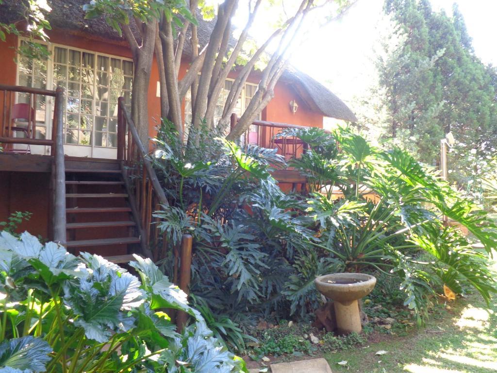 Treetops & Treats Guest House Pretoria-Noord Kültér fotó